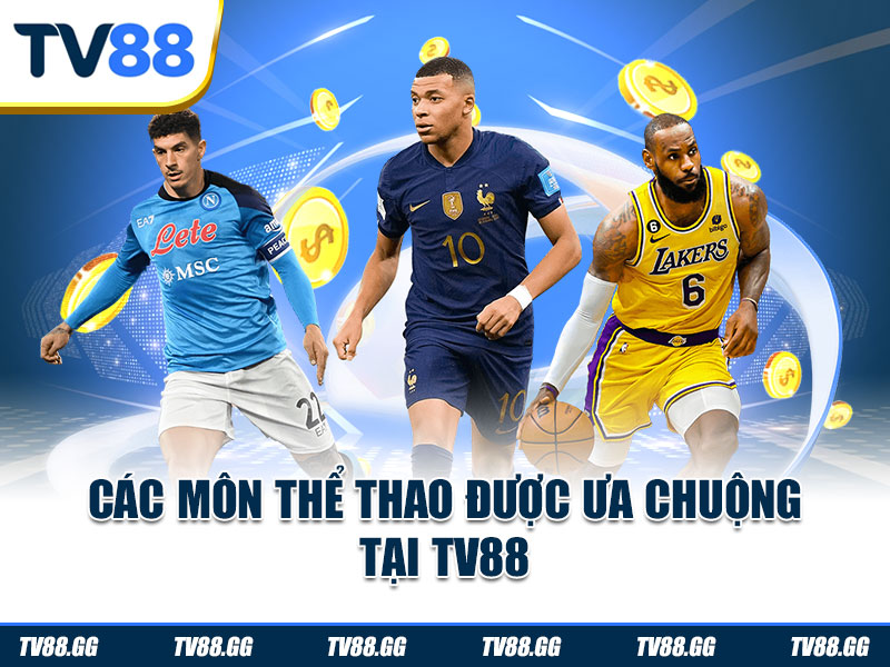 Các môn thể thao được ưa chuộng tại TV88
