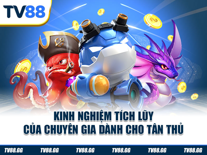 Kinh nghiệm tích lũy của chuyên gia dành cho tân thủ