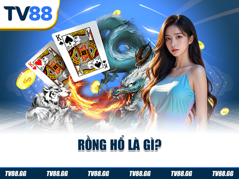 Rồng Hổ là gì?