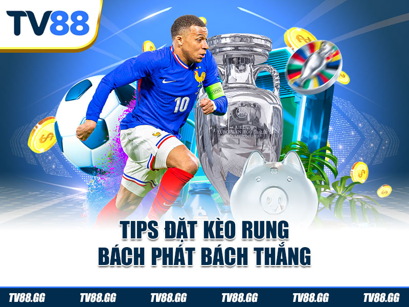 Tips đặt kèo rung bách phát bách thắng
