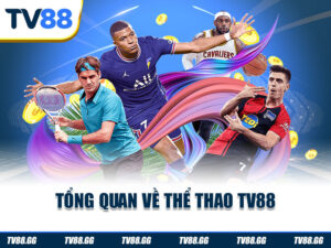 Tổng quan về thể thao TV88